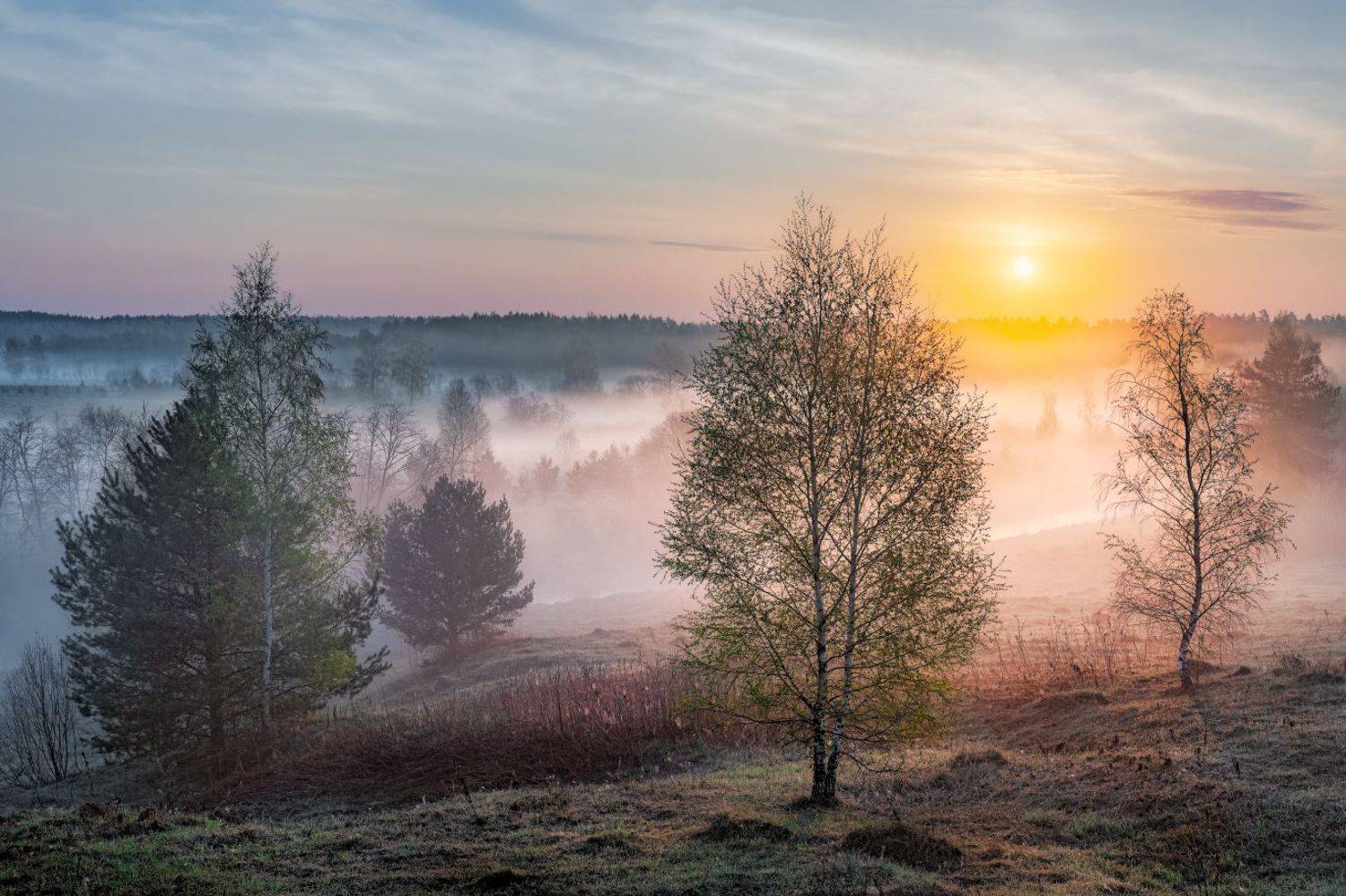 , Евгений Ерохин