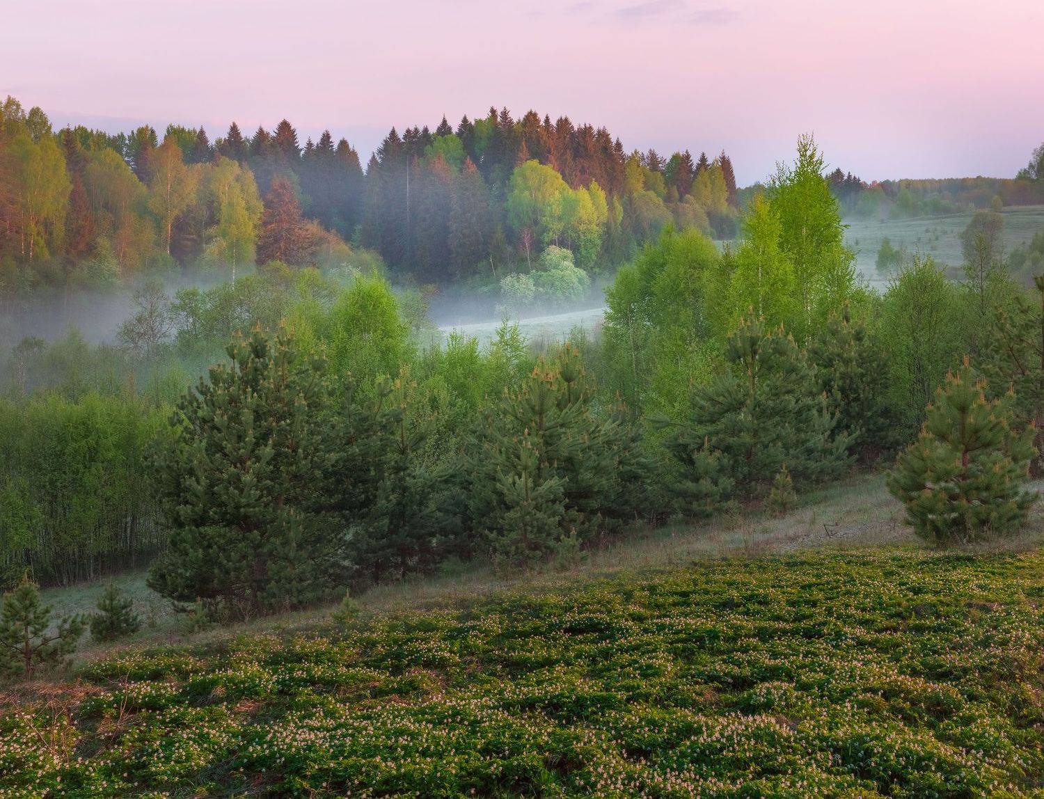 фототуры с владимиром рябковым, #topnature #russpasibo #magic_shots #lovelyrussia #sunset_vision #exclusive_sky  #exclusive_shots #loves_russia2 #photoarena_nature #nature_sultans #nature_perfection #rsa_sky #rsa_sunset #photorussia #rsa_naturepics #sunse, Владимир Рябков