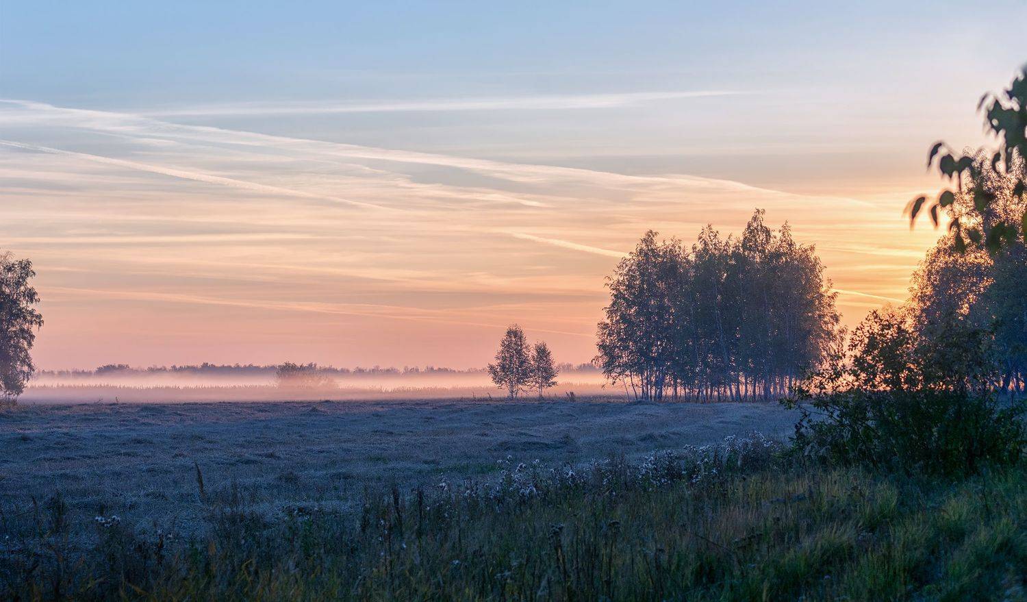 пейзаж, утро, заря, осень, туман, лес, поле,, Марина Мочалова