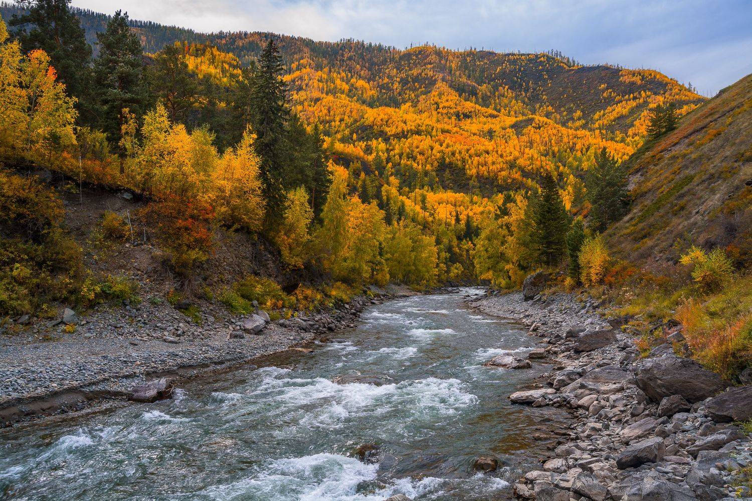 россия, горный алтай,осень, Андрей Поляков