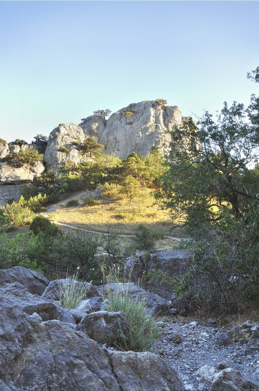 крым, море, черное море, судак, новый свет, Чавыкина Анастасия