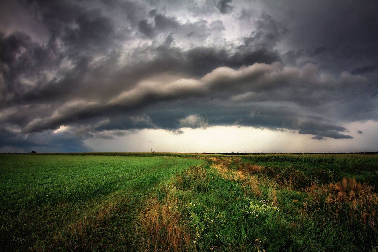 Беларусь, Серж Домбровский