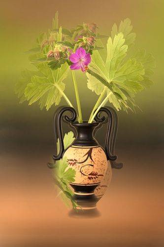 Geranium Impression