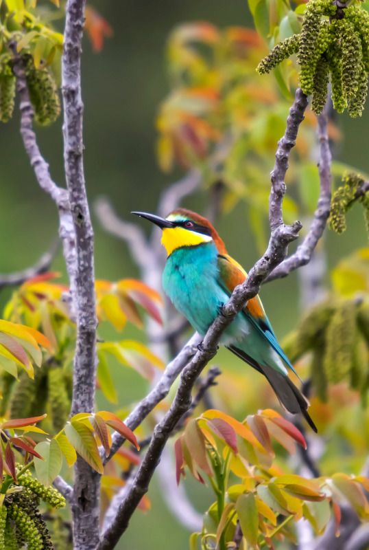 Дождливым днем... фото превью