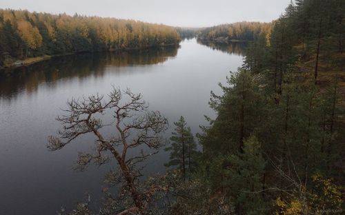 Затерянный мир севера