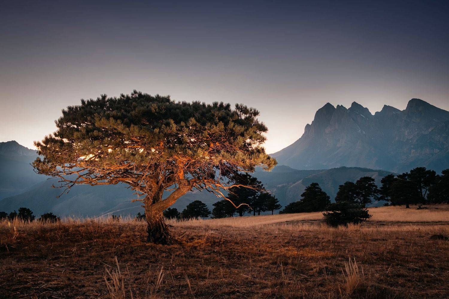 , Евгений Шивцов