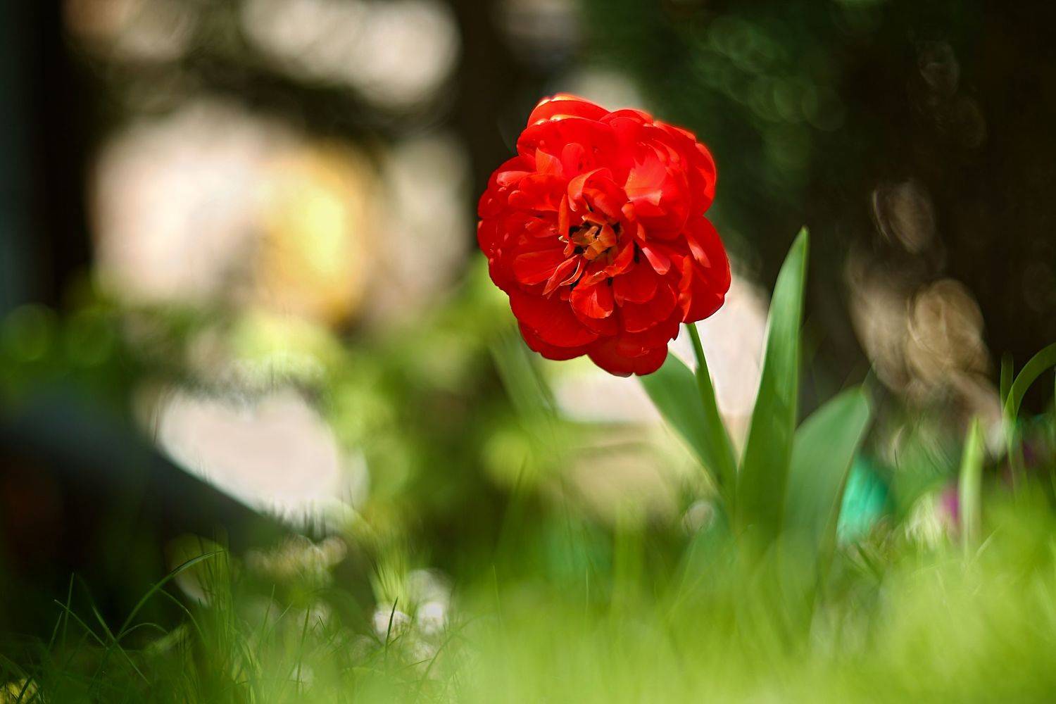 , Эдуард Колобошников