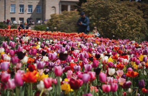 Буйство цветов и живых ароматов.