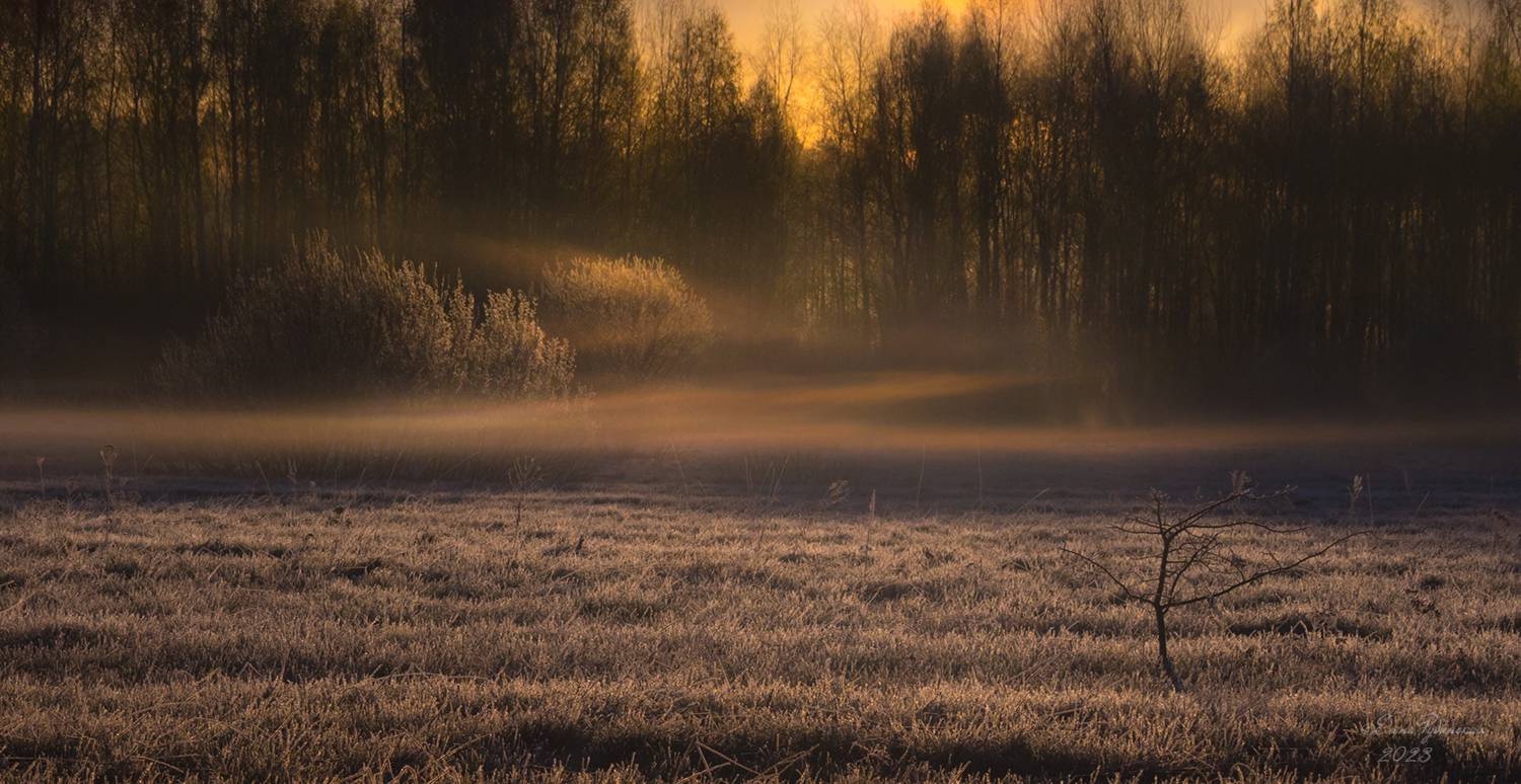 , Елена Рубинская