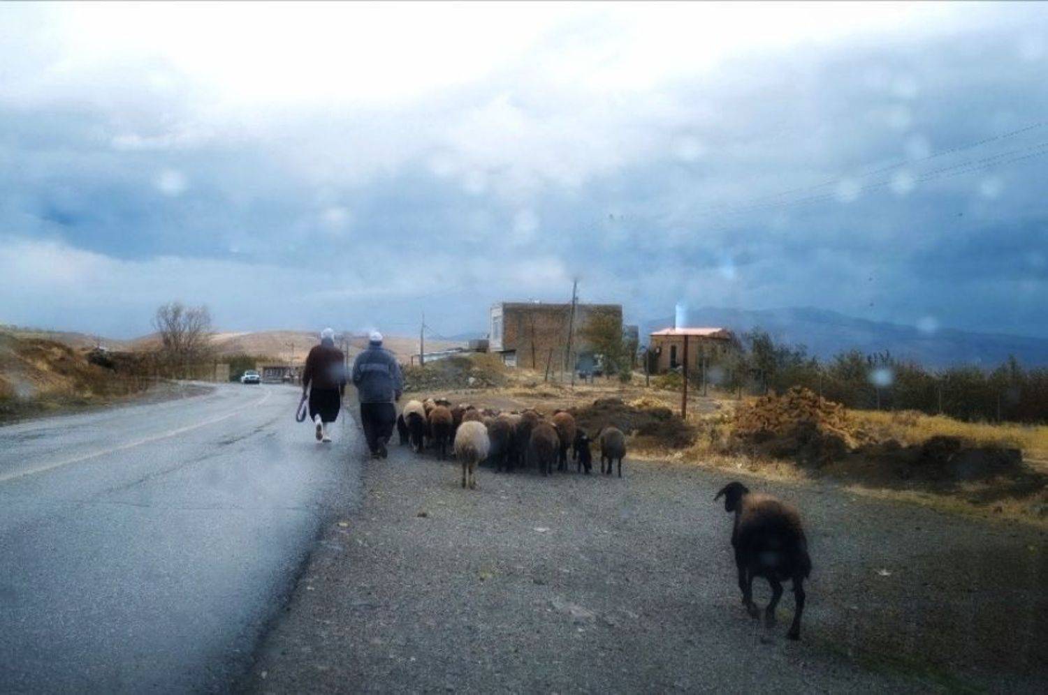 , Seyed Homayoun Hosseini