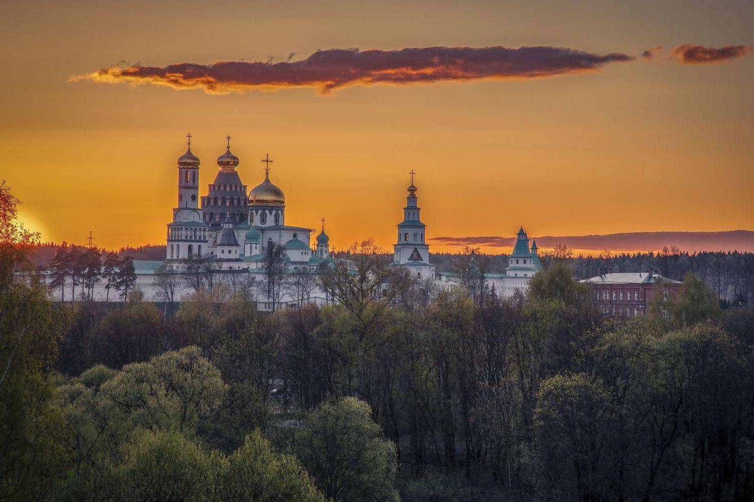 Истра, Елена Гусева