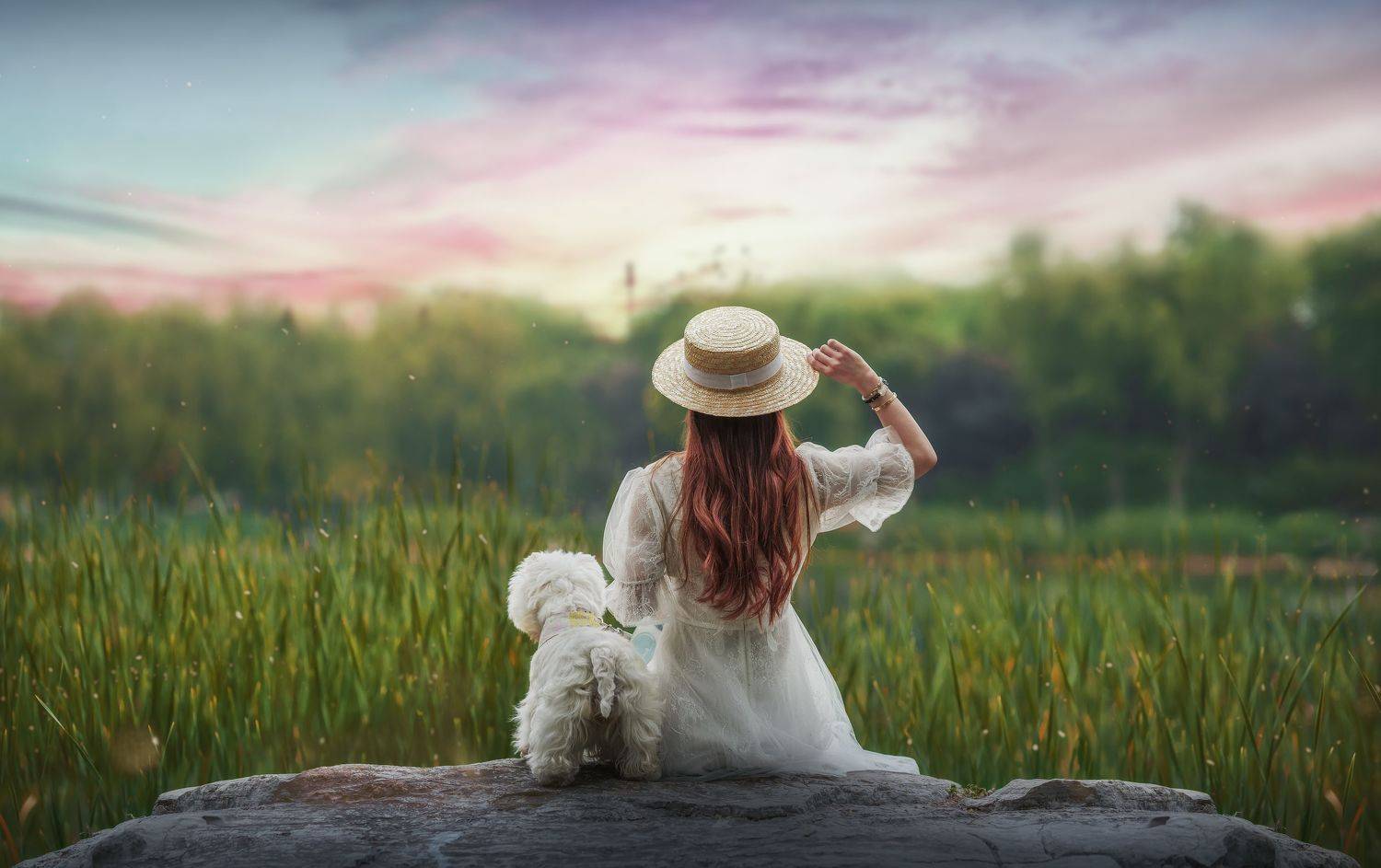 人像 背影 狗 宠物 动物 狗, 宠物摄影师狗哥