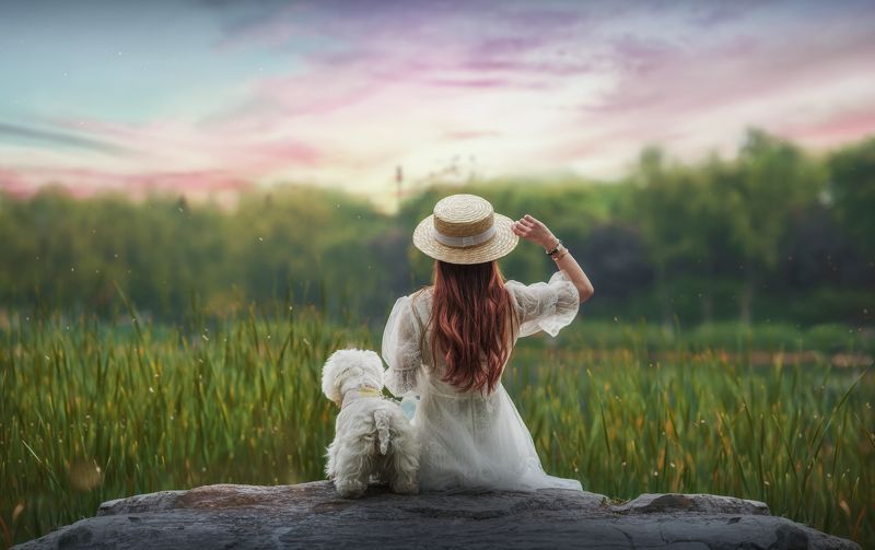 人像 背影 狗 宠物 动物 狗 背影 фото превью