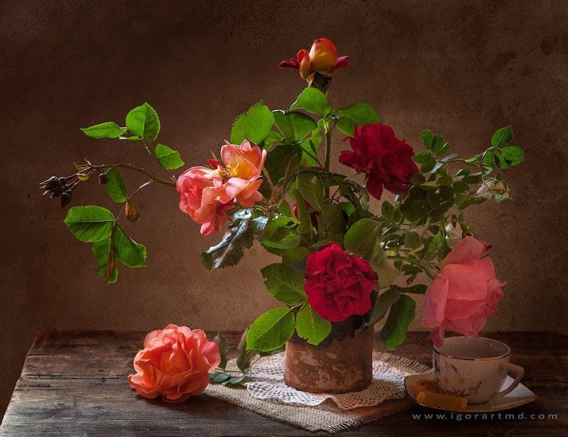 morning rosy фото превью