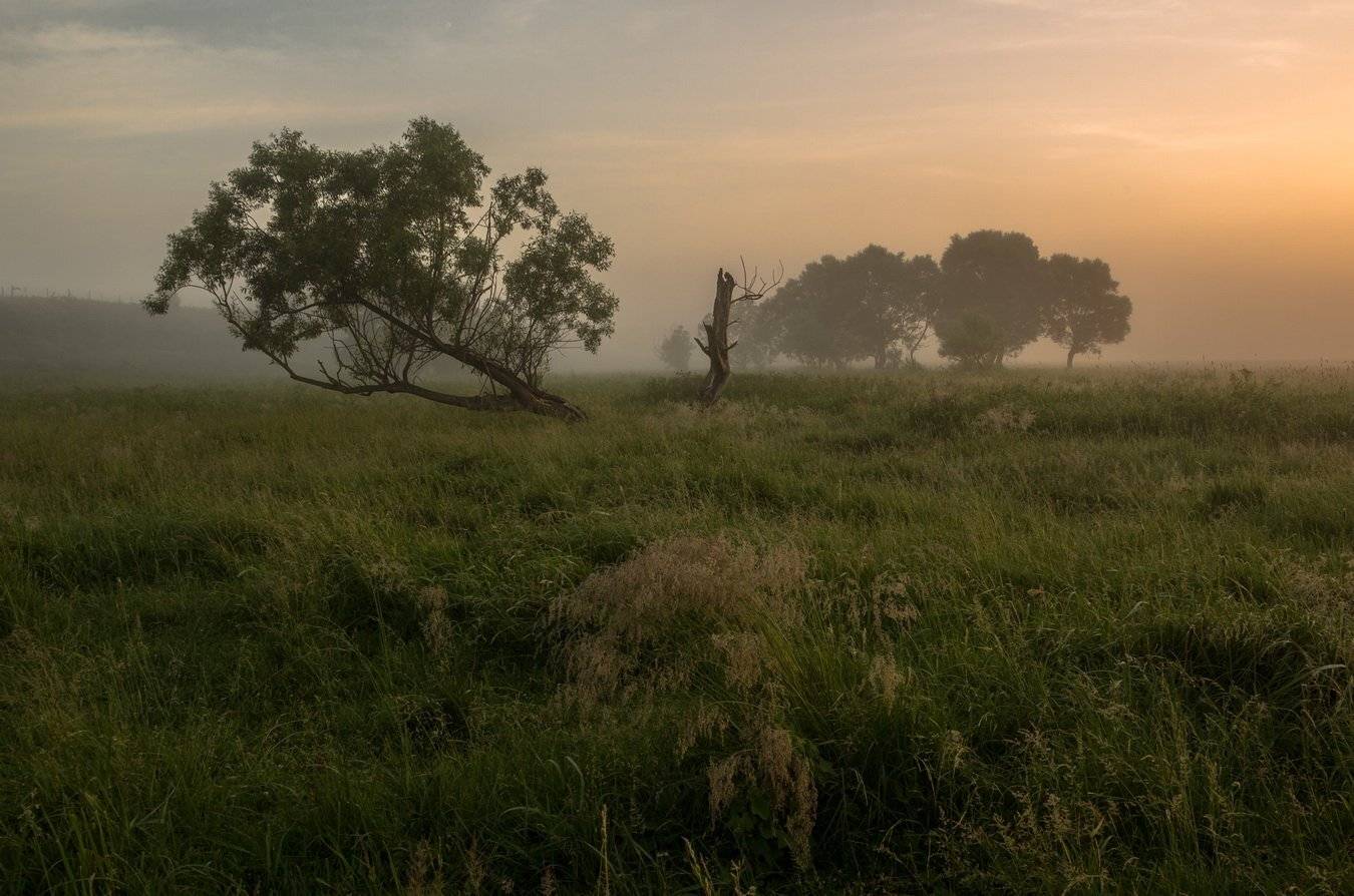 , Александр Бредихин