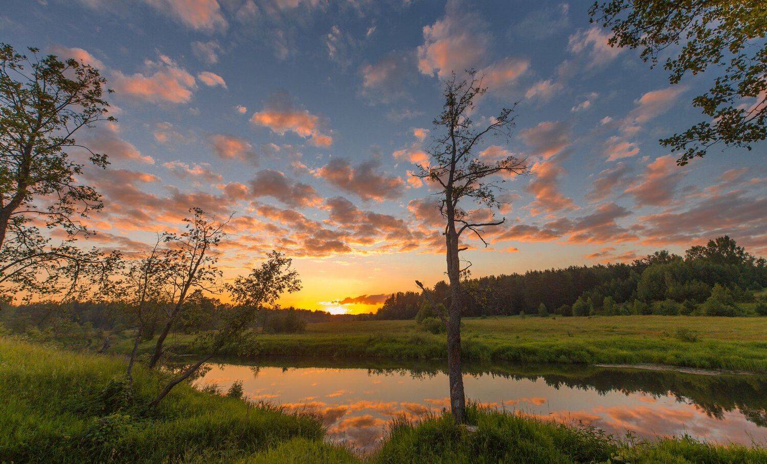 , Воробьёв Евгений
