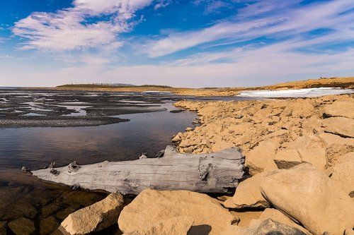 Серое на желтом