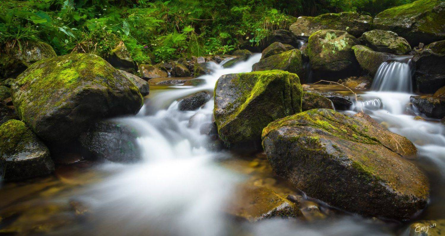 landscape, nature, carpathians, ukraine, stones, moss, Emyan