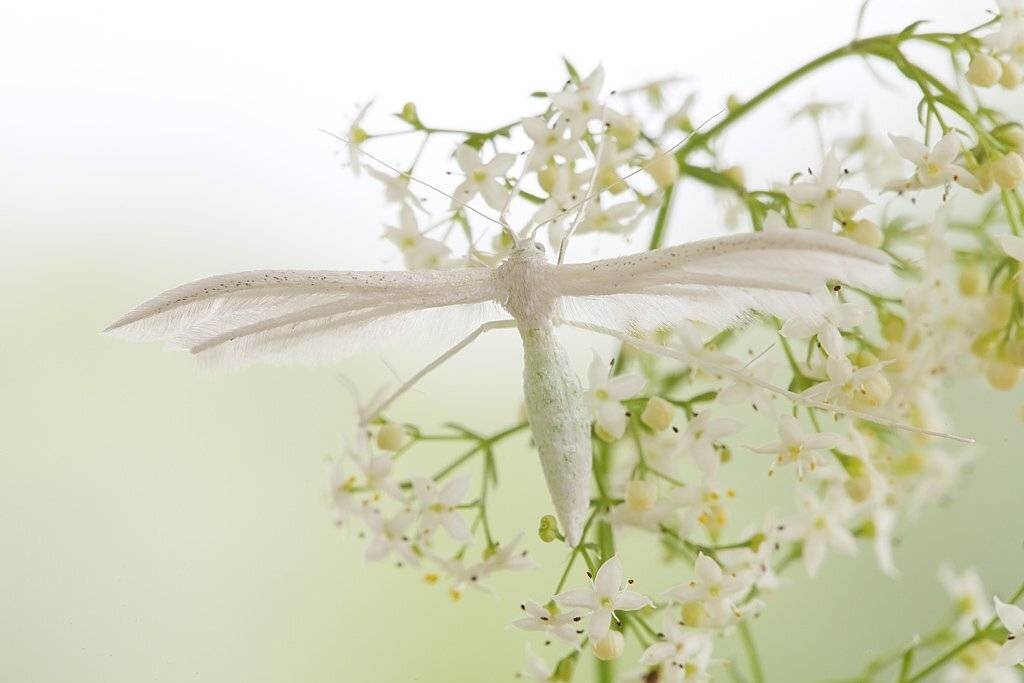 , Сергей Таланов