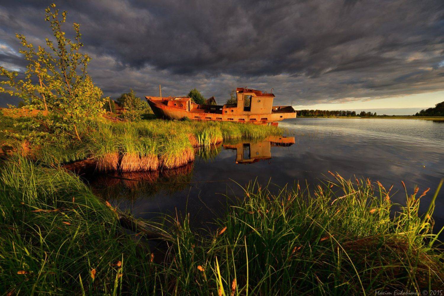 , Максим Евдокимов