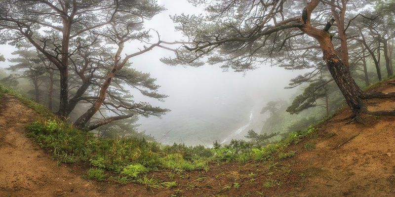 туман в бухте Теляковского фото превью