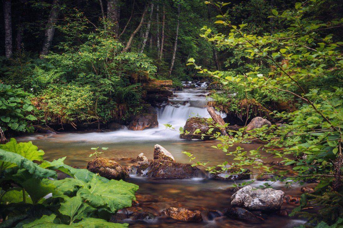 , Ярослав Тюрменко (Jaremi)