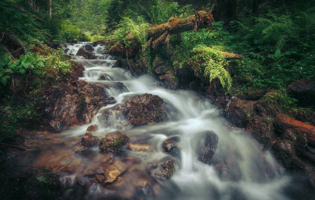 , Ярослав Тюрменко (Jaremi)