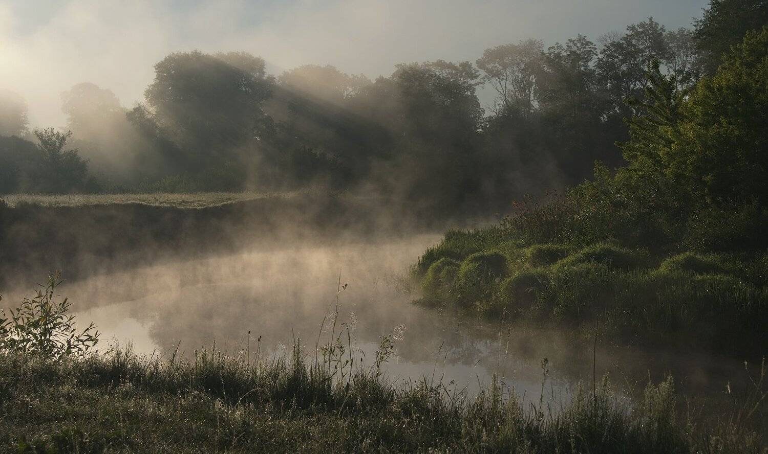 , Николай Шахманцир