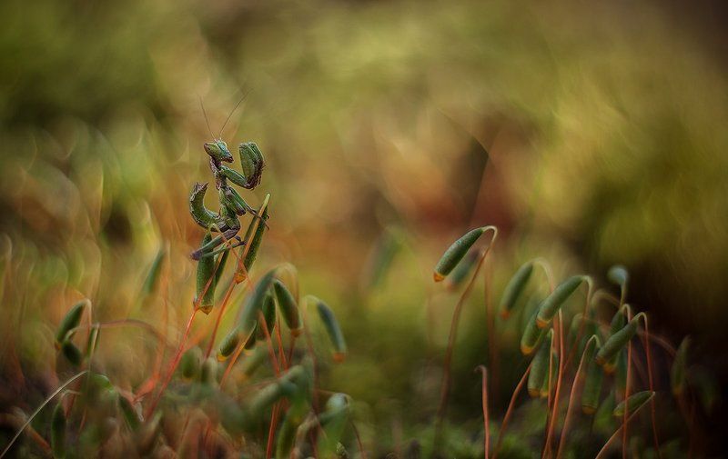 На посту. фото превью