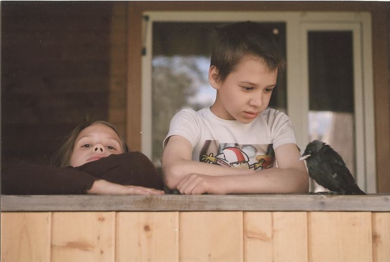 фото превью