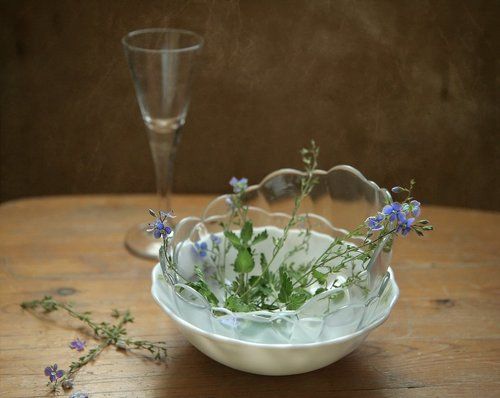 с незабудками