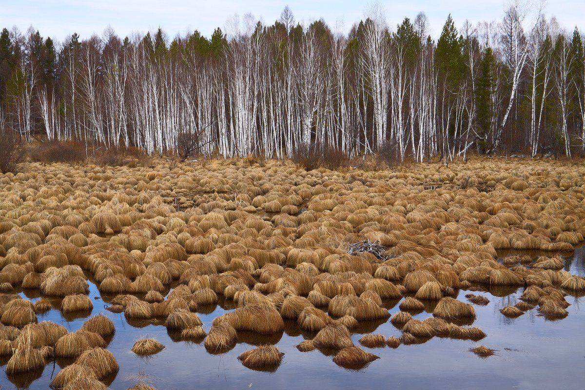 , Николай Морский