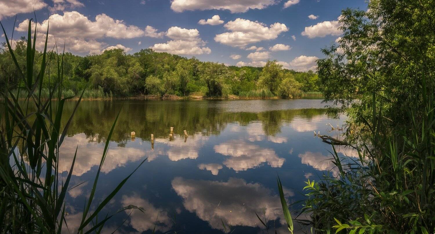 , Игорь Мелекесцев