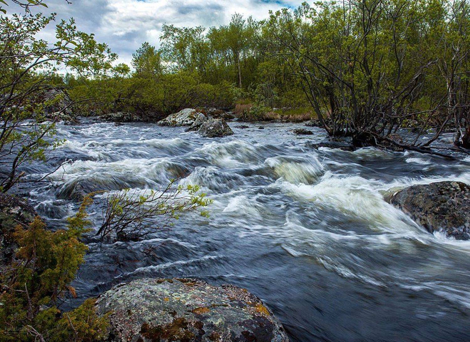 , Владимир Лапшин