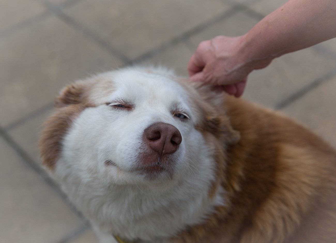 , Ирина Назарова