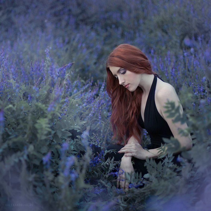 *** фото превью