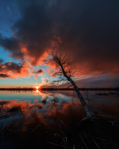 Под заполярным небом.