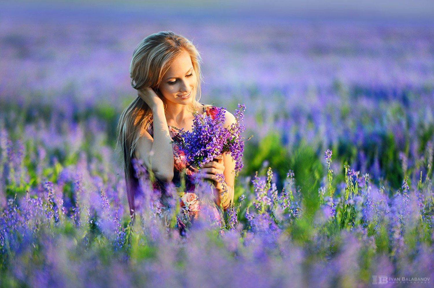 Девушка, поле, цветы, закат, настроение, Балабанов, Балабанов Иван