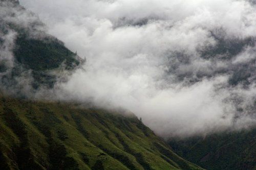 В объятьях тумана