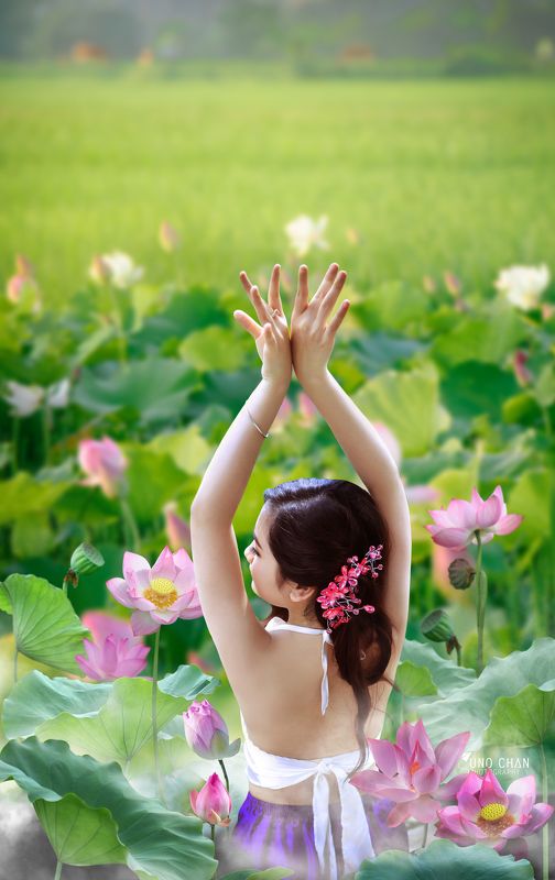 unochan dream lotus фото превью