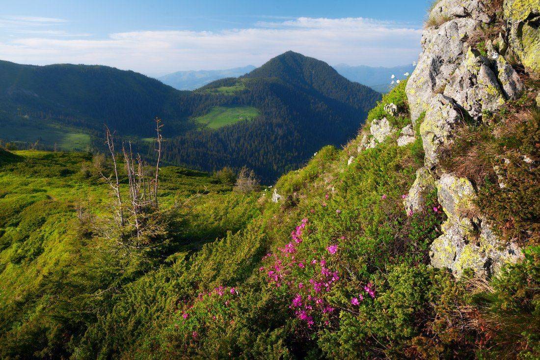 , Ярослав Тюрменко (Jaremi)