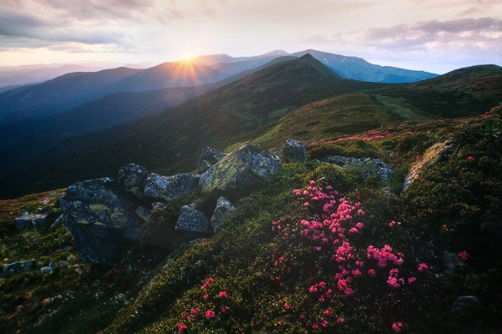 , Ярослав Тюрменко (Jaremi)