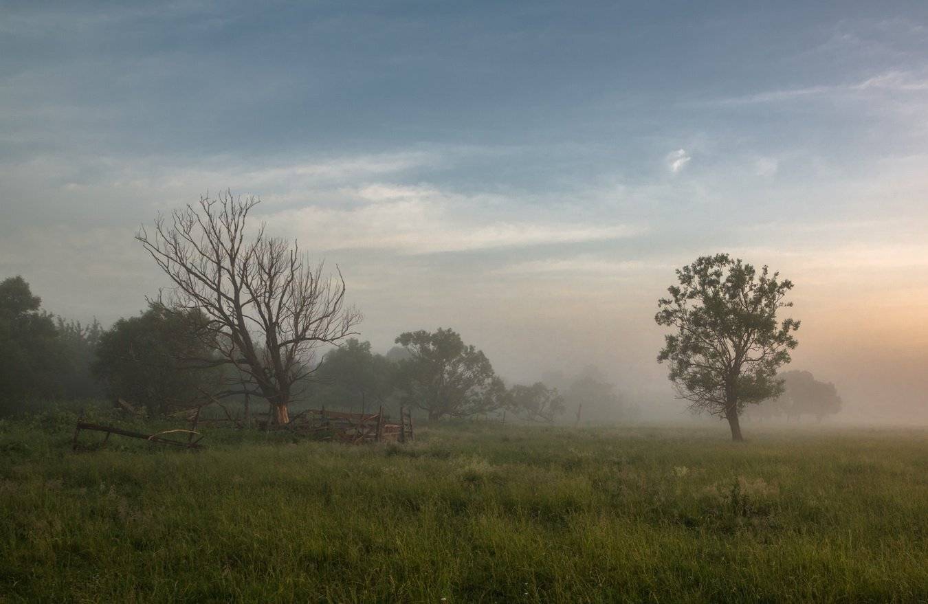 , Александр Бредихин