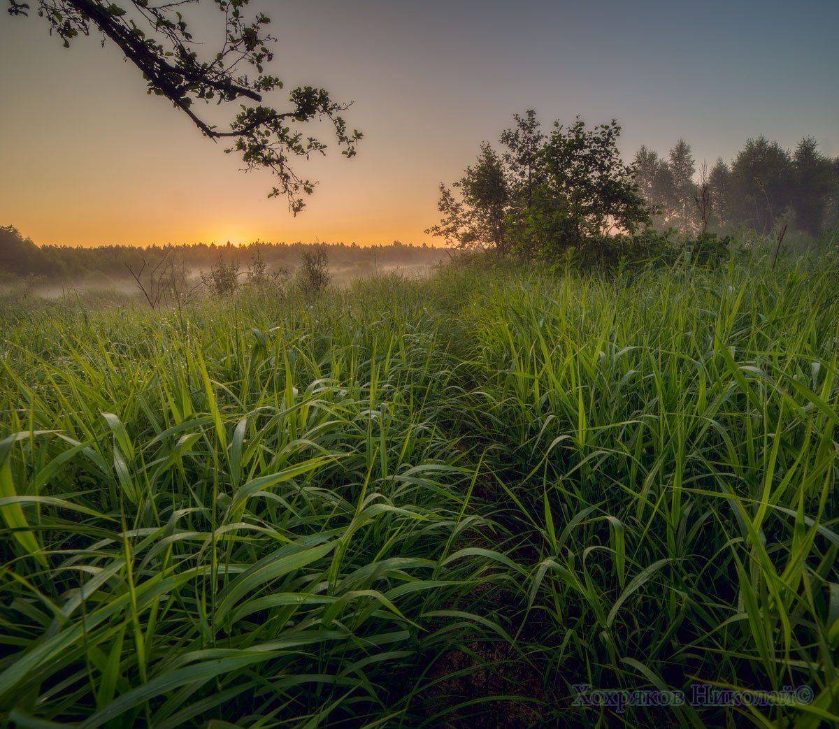 , Хохряков Николай