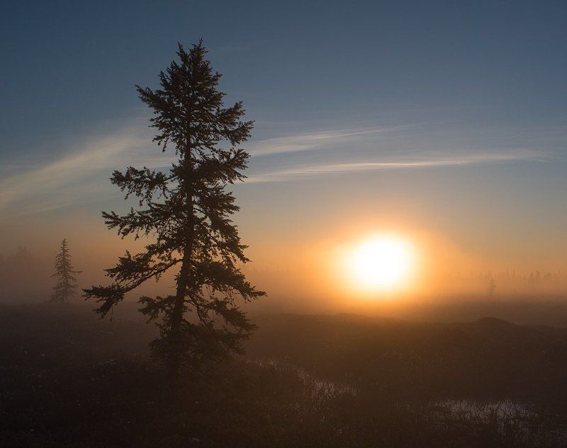 туман, рассвет, сибирь, янао, север Туманный рассвет фото превью