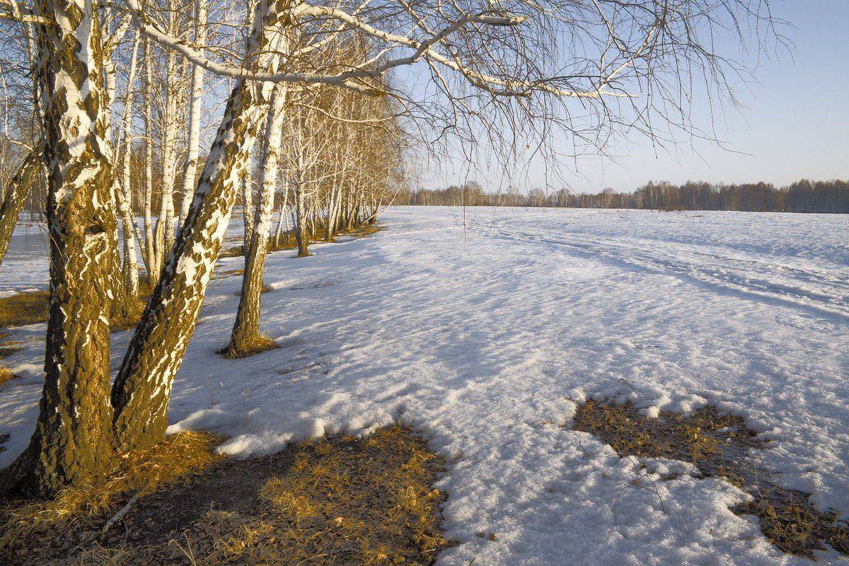 , Николай Морский