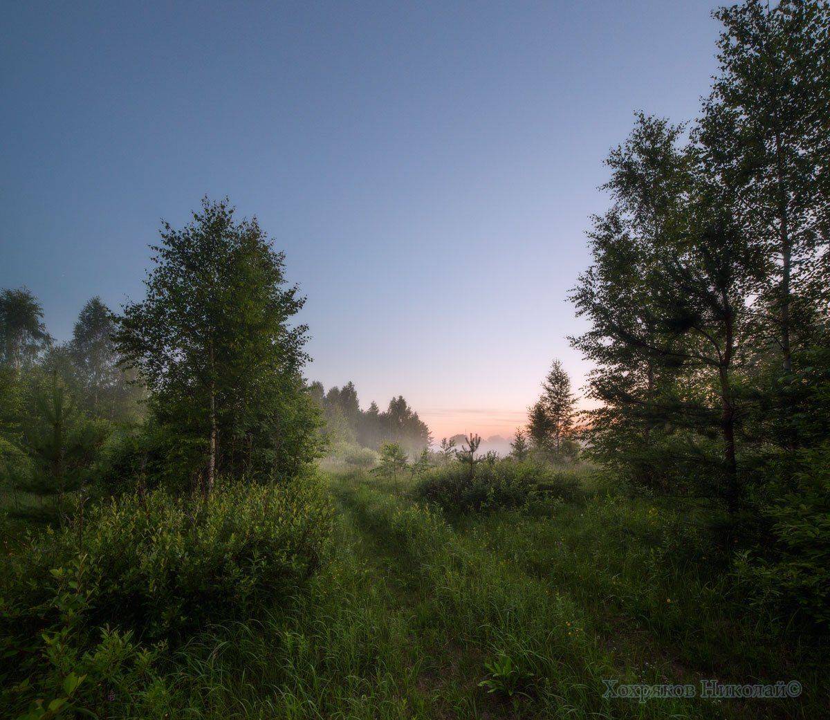 , Хохряков Николай