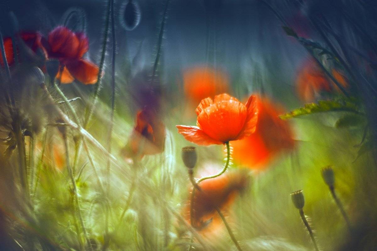 , Татьяна Аверина