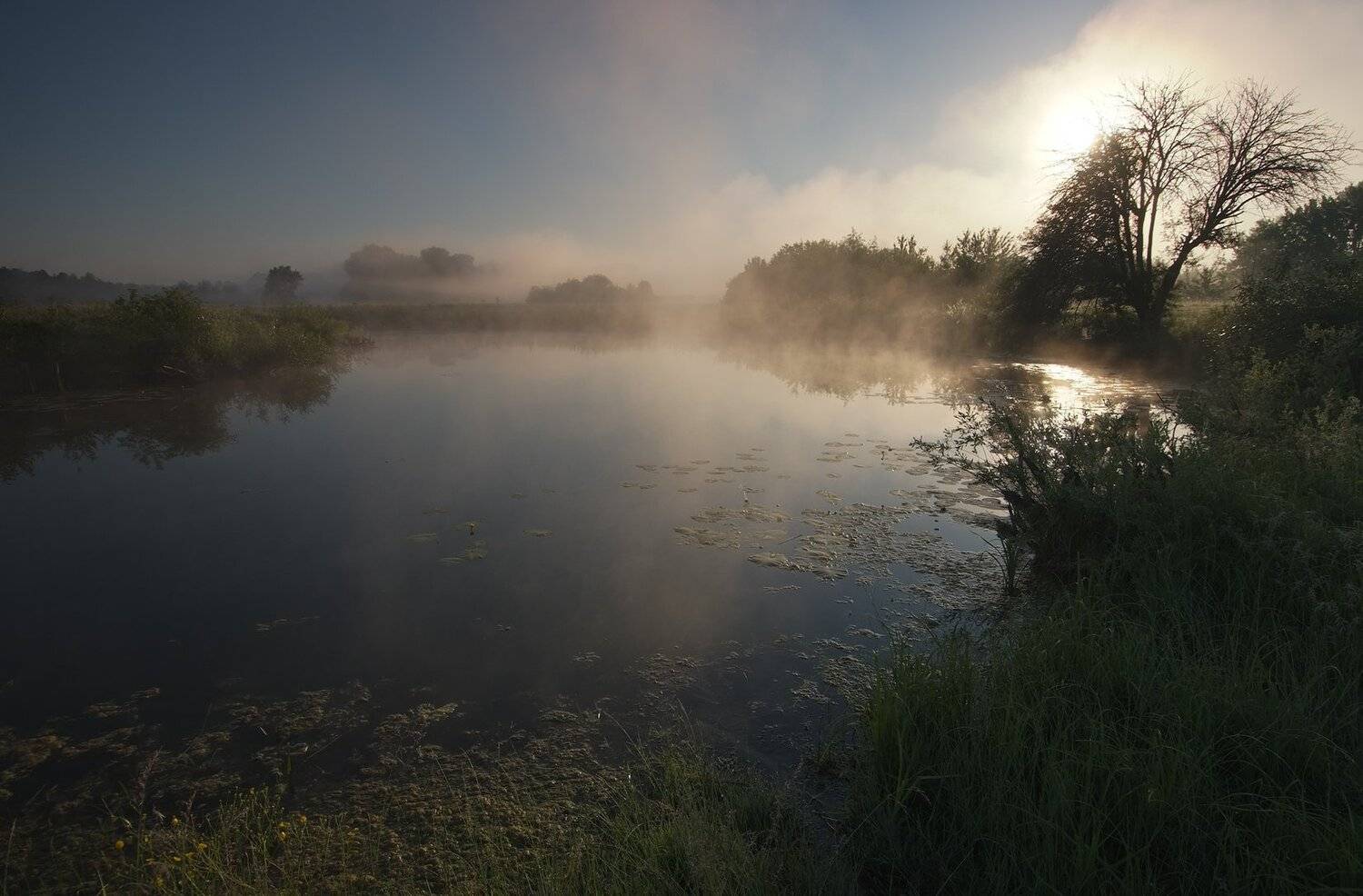 , Николай Шахманцир