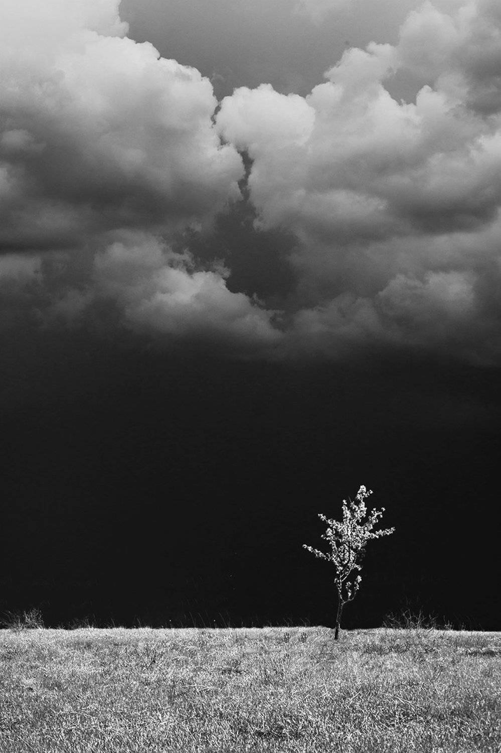 , Роман Рыжков